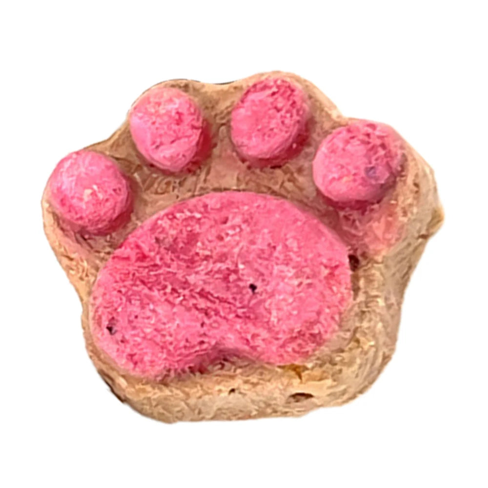 Cat Paw Biscuit Treats | Protein-Rich Dental Snacks for Cats & Kittens