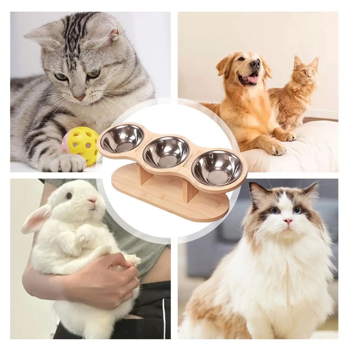 Elevated Cat Bowls with Wood Stand & 3 Stainless Steel Bowls