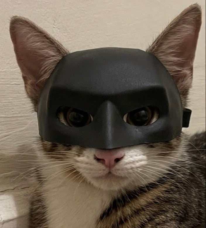 Black Matte Superhero Cat Mask | Halloween Cat Costume Accessory