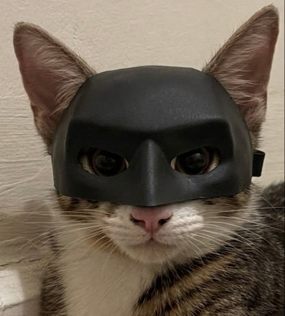 Black Matte Superhero Cat Mask | Halloween Cat Costume Accessory