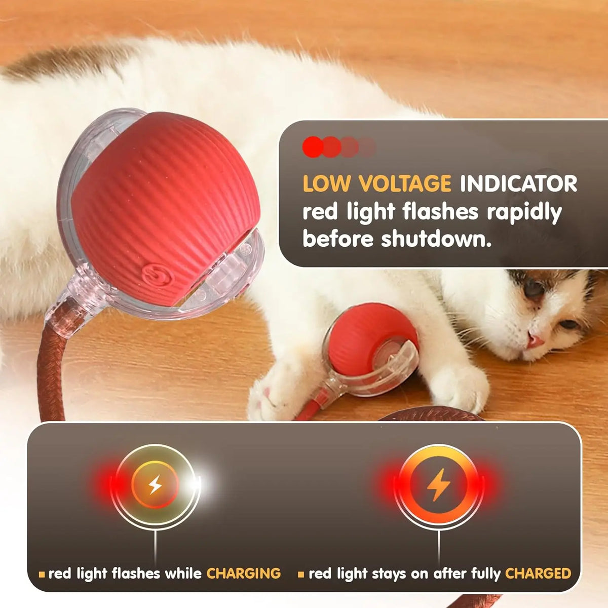 Automatic Rolling Ball Cat Toy | USB Rechargeable | 3 Speed Modes