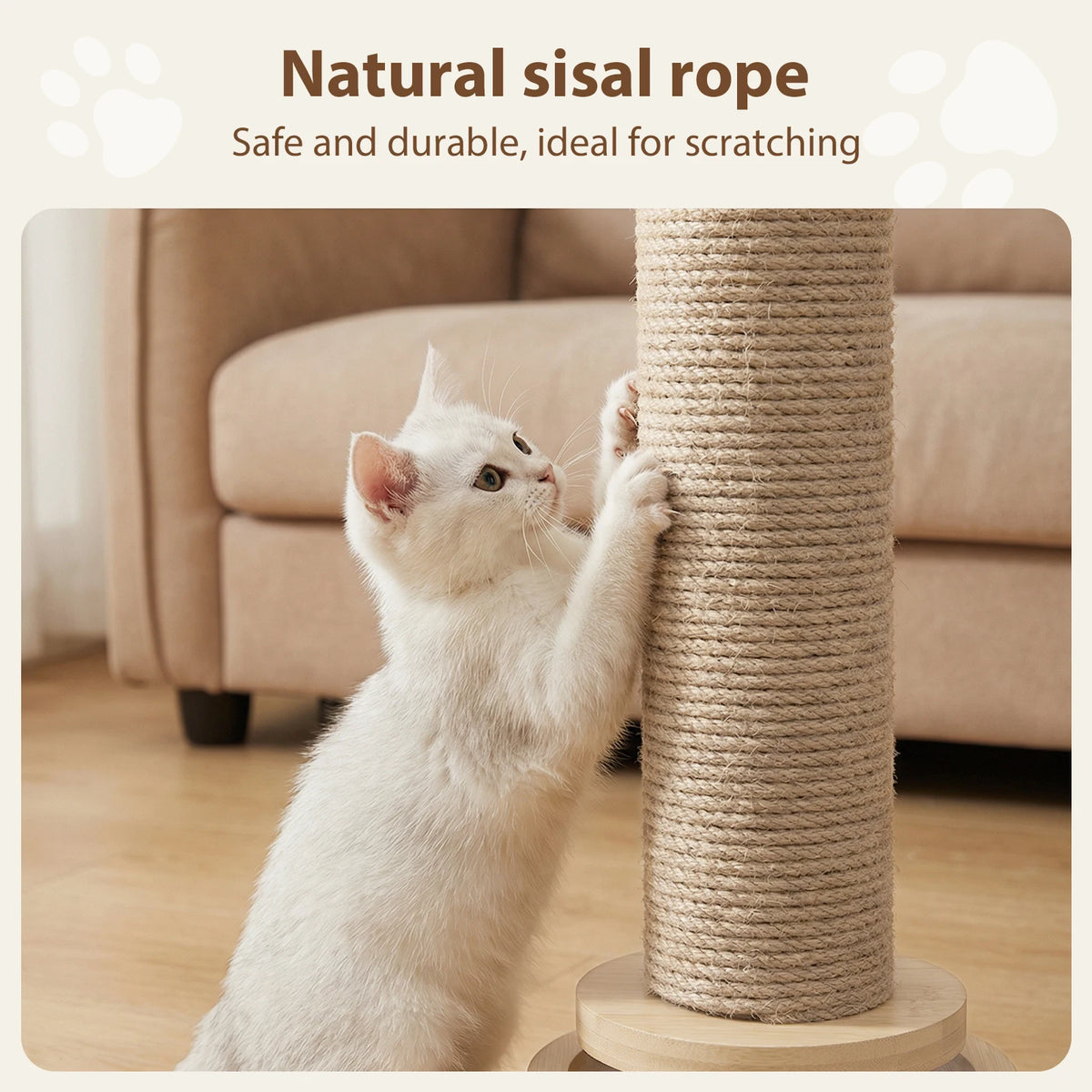 Cat Scratching Post with Sisal & Interactive Toys