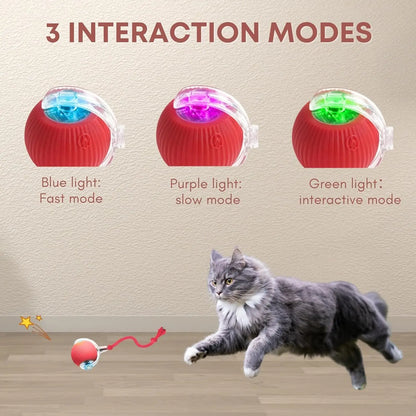 Automatic Rolling Ball Cat Toy | USB Rechargeable | 3 Speed Modes