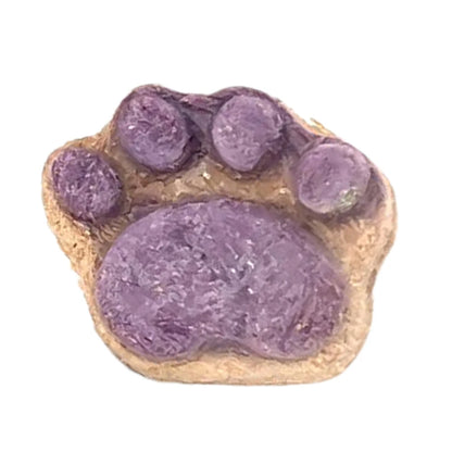 Cat Paw Biscuit Treats | Protein-Rich Dental Snacks for Cats & Kittens