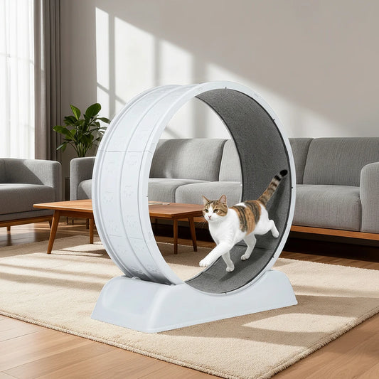 Cat Exercise Wheel | Silent 31.5" Running Wheel for Indoor Cats