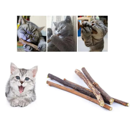 Silver Vine Cat Dental Chew Sticks