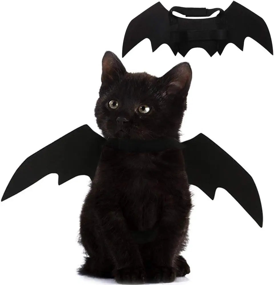 Cat Bat Wings Halloween Costume | Felt Bat Wings for Cats & Small Dogs