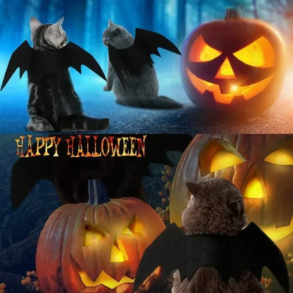 Cat Bat Wings Halloween Costume | Felt Bat Wings for Cats & Small Dogs