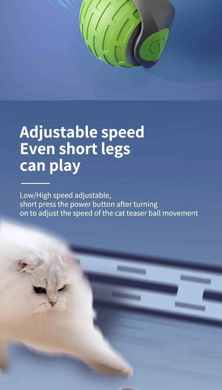Interactive Electric Rolling Ball Cat Toy with Tail