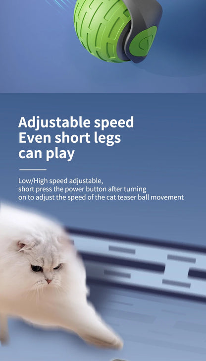 Interactive Electric Rolling Ball Cat Toy with Tail