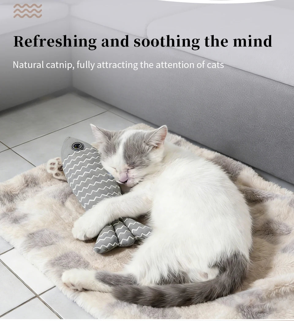 Catnip Fish Toy for Cats