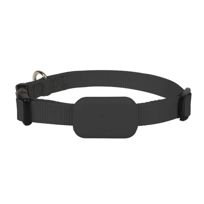 GPS Cat Tracker Collar | Real-Time Location Tracking for Cats & Kittens