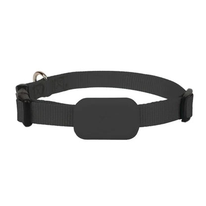 GPS Cat Tracker Collar | Real-Time Location Tracking for Cats & Kittens