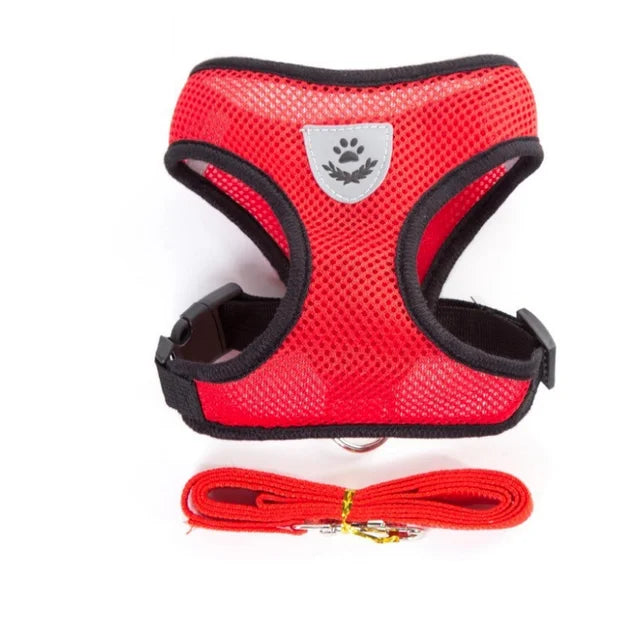 Reflective Mesh Cat Harness & Leash Set | No-Pull, No-Choke for Cats & Dogs
