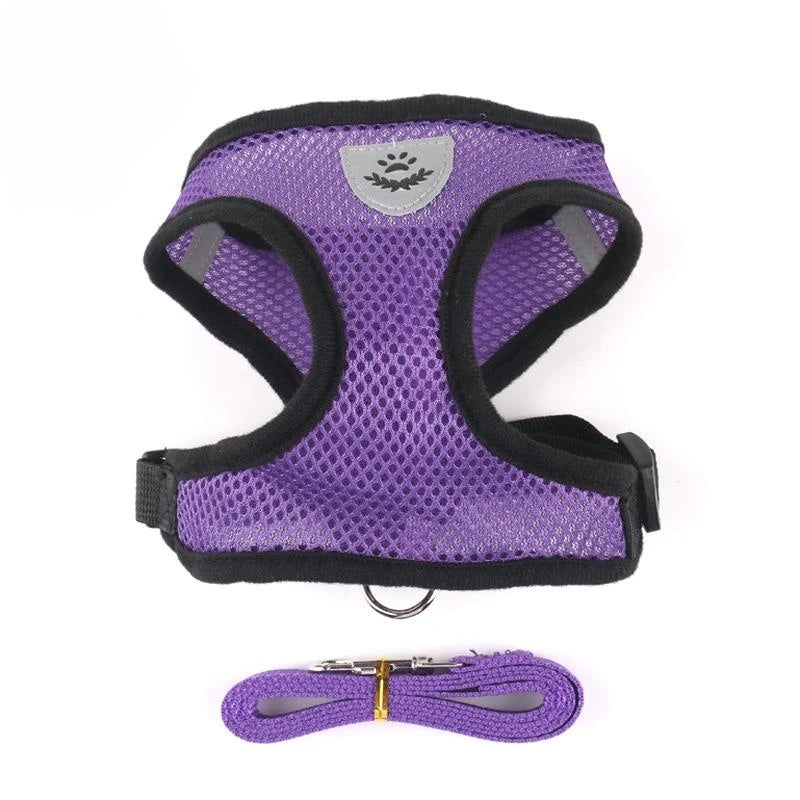 Reflective Mesh Cat Harness & Leash Set | No-Pull, No-Choke for Cats & Dogs