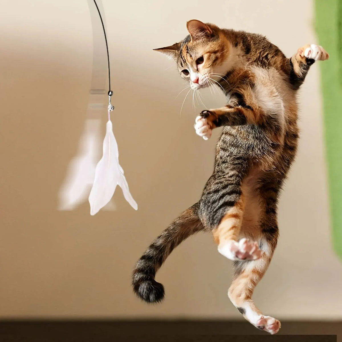 Cat Feather Wand Teaser Toy with Bell & Suction Cup