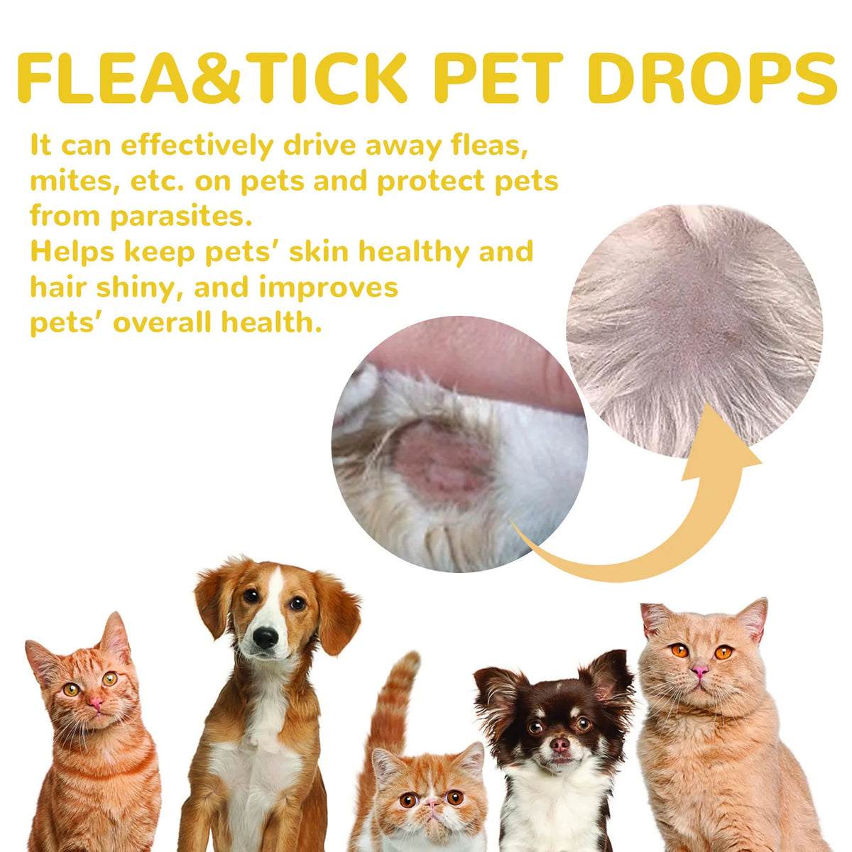 Cat & Dog Flea Treatment Drops – Tick & Mite Repellent