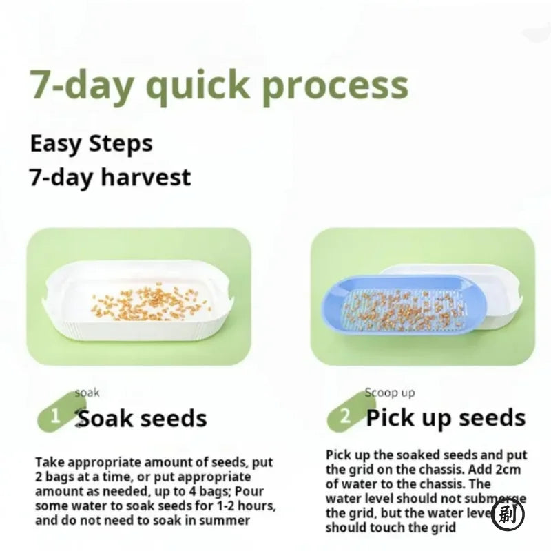 Hydroponic Cat Grass Planter Box – Soilless Growing Pot