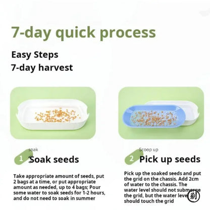Hydroponic Cat Grass Planter Box – Soilless Growing Pot