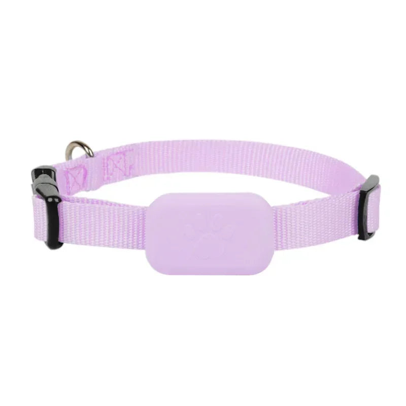GPS Cat Tracker Collar | Real-Time Location Tracking for Cats & Kittens