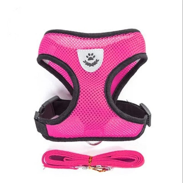 Reflective Mesh Cat Harness & Leash Set | No-Pull, No-Choke for Cats & Dogs