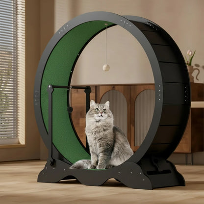 Large Cat Exercise Running Wheel | 45" Treadmill with Detachable Carpet & Teaser Toy