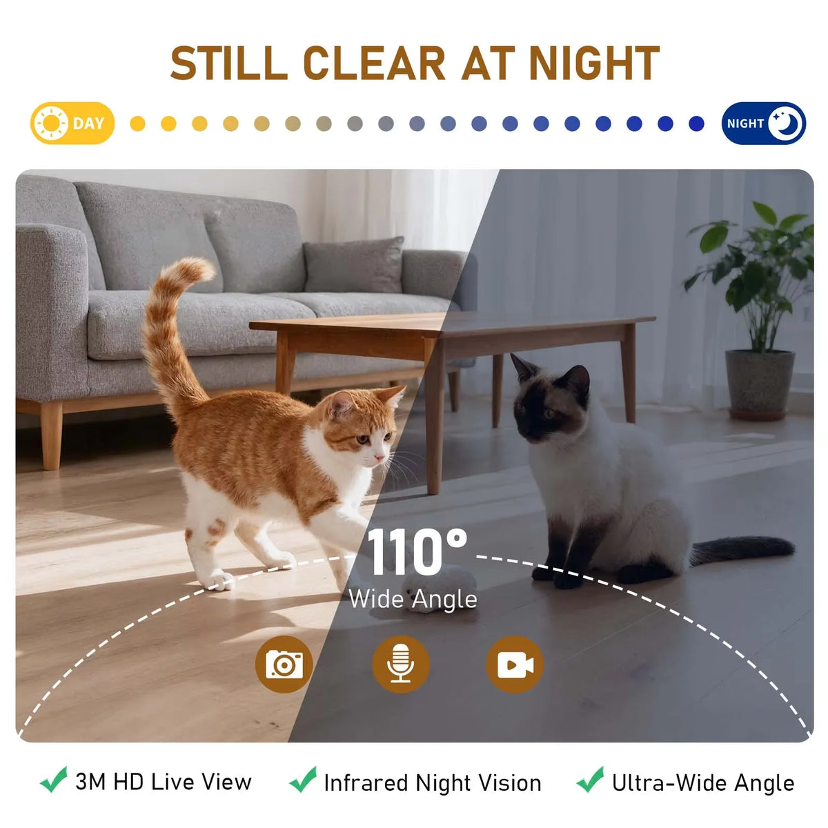 Smart WiFi Automatic Cat Feeder with Camera & App Control