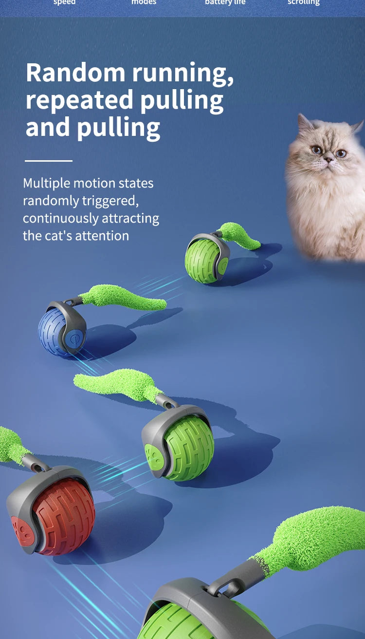 Interactive Electric Rolling Ball Cat Toy with Tail
