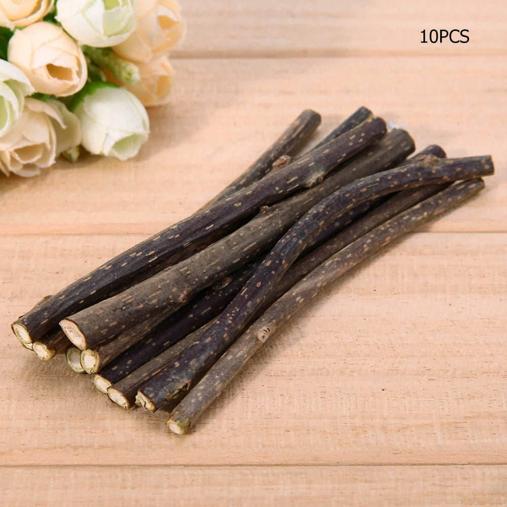 Natural Catnip Silvervine Chew Sticks for Cats | Pack of 10