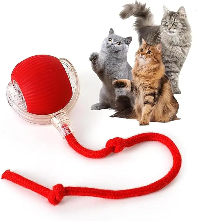 Automatic Rolling Ball Cat Toy | USB Rechargeable | 3 Speed Modes