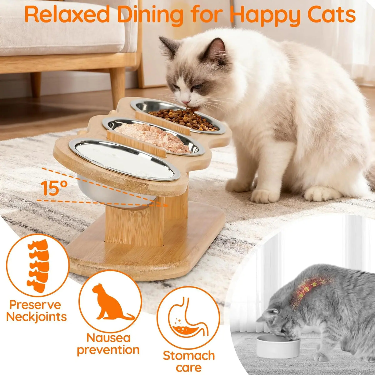 Elevated Cat Bowls with Wood Stand & 3 Stainless Steel Bowls