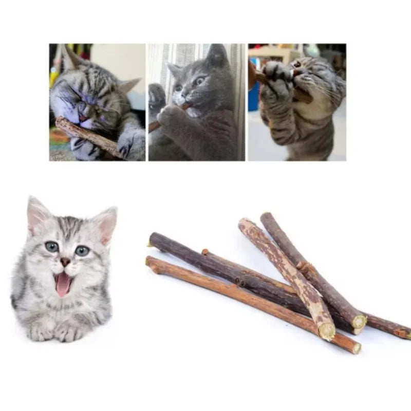 Silver Vine Cat Dental Chew Sticks
