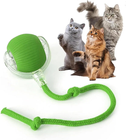 Automatic Rolling Ball Cat Toy | USB Rechargeable | 3 Speed Modes