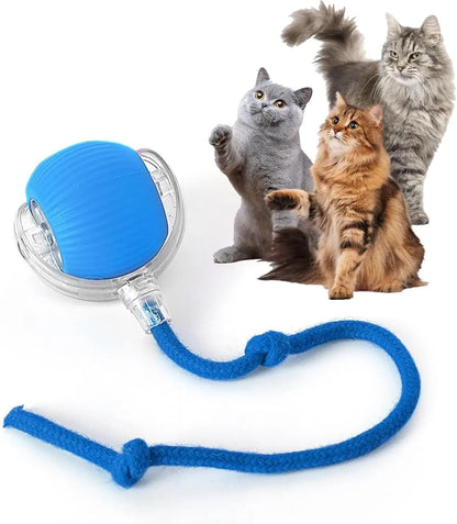 Automatic Rolling Ball Cat Toy | USB Rechargeable | 3 Speed Modes