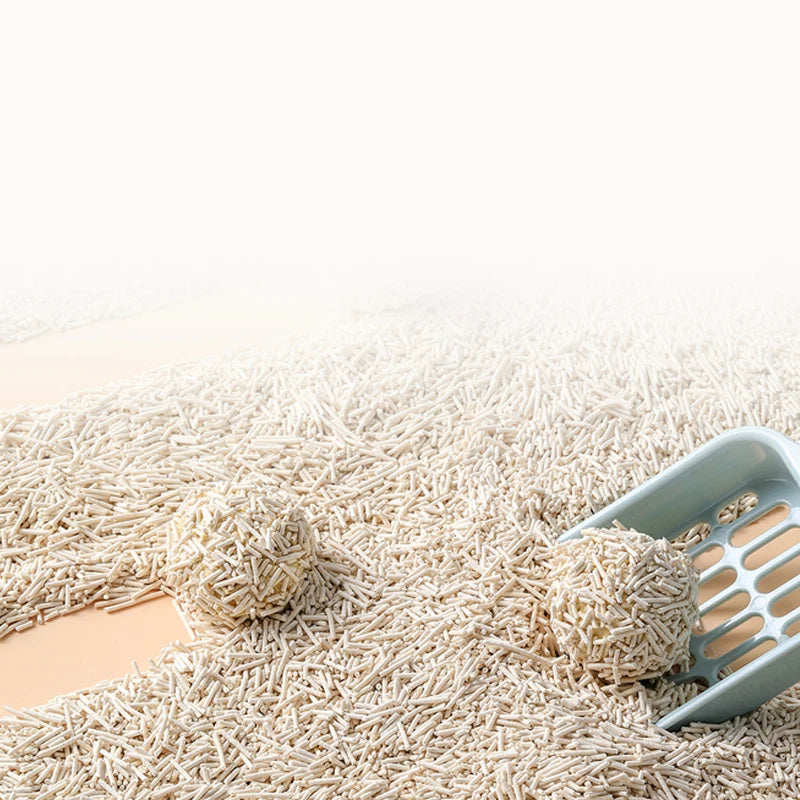 Tofu Cat Litter 6L | Fast Clumping & Deep Deodorising