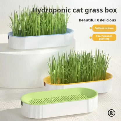 Hydroponic Cat Grass Planter Box – Soilless Growing Pot