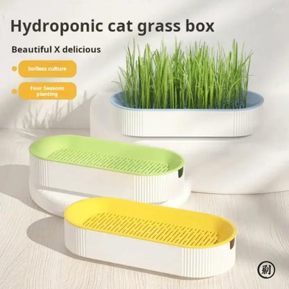 Hydroponic Cat Grass Planter Box – Soilless Growing Pot