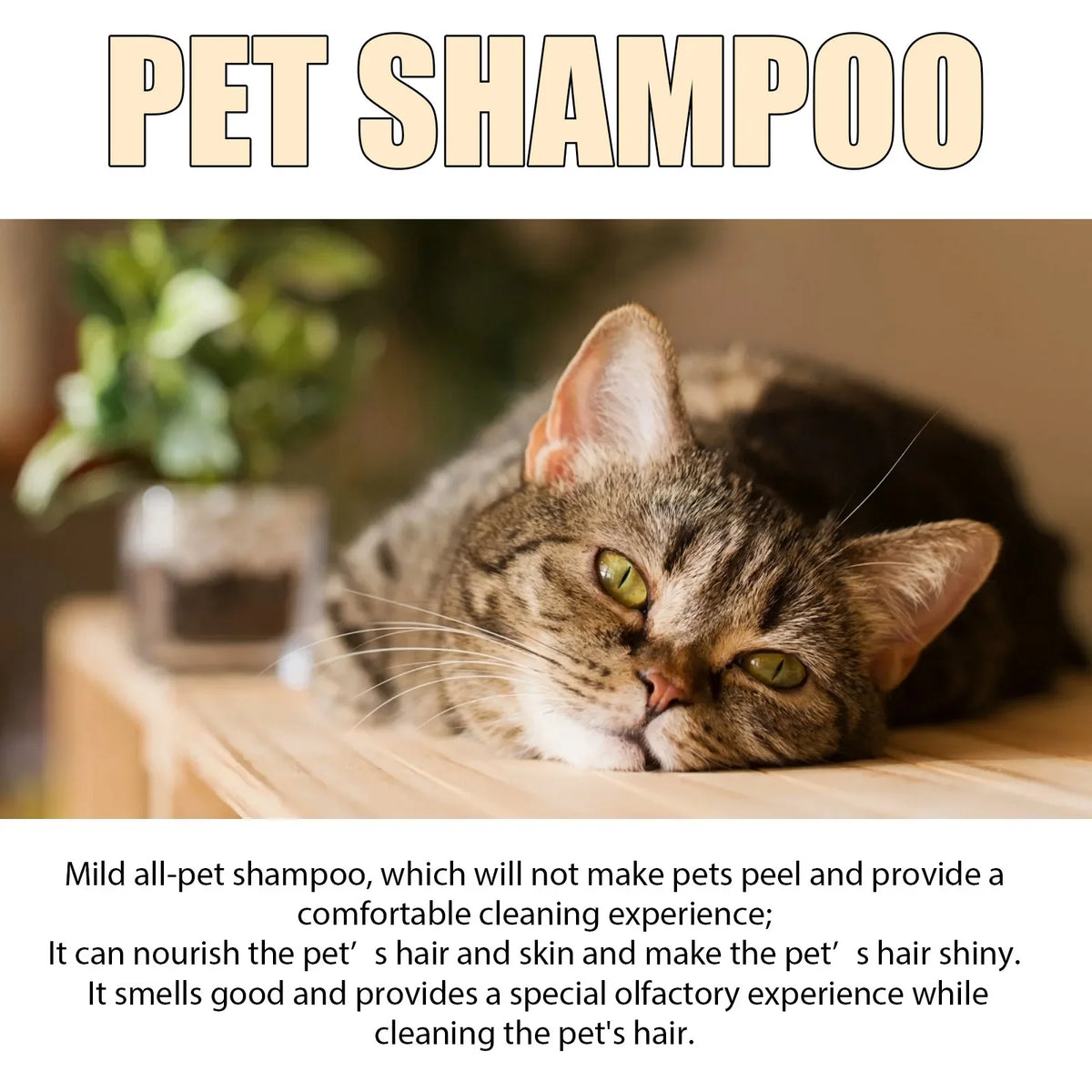 Pet Shampoo for Cats & Dogs – Gentle Cleansing, 100ml / 300ml