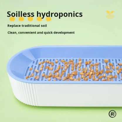 Hydroponic Cat Grass Planter Box – Soilless Growing Pot
