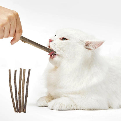 Silver Vine Cat Dental Chew Sticks