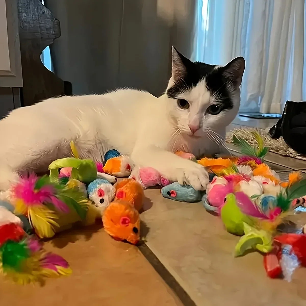 Cat Toys Mixed Pack – 14, 28 or 56 Piece Variety Bundle