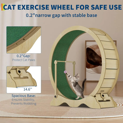 Large Cat Exercise Running Wheel | 45" Treadmill with Detachable Carpet & Teaser Toy